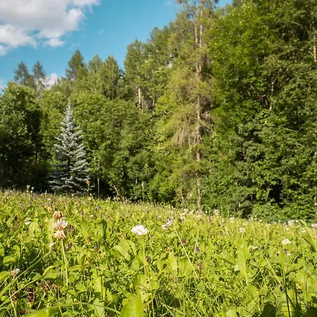 Pochi Passi Dalle Piste Di Les Arnaud * Bardonecchia
